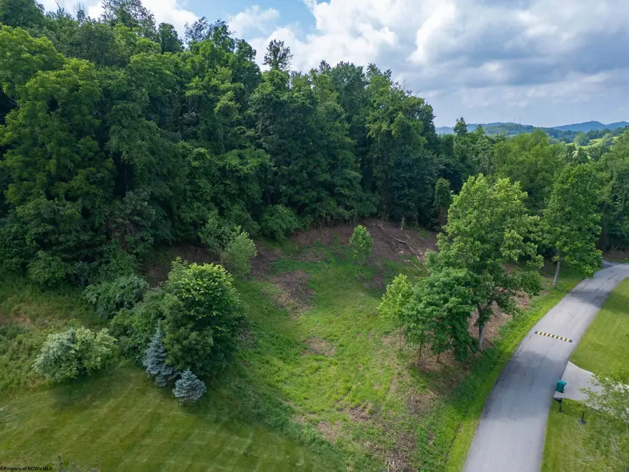 00 Pheasant Ridge Road, Bridgeport, WV 26330 - #2