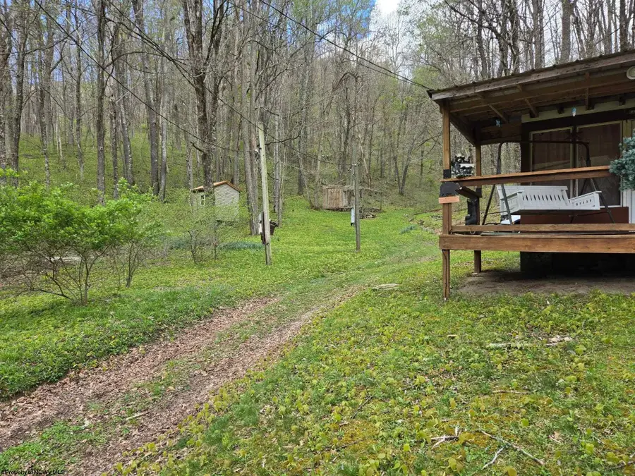 118 Blue Grouse Lane, Montrose, WV 26283 - #3