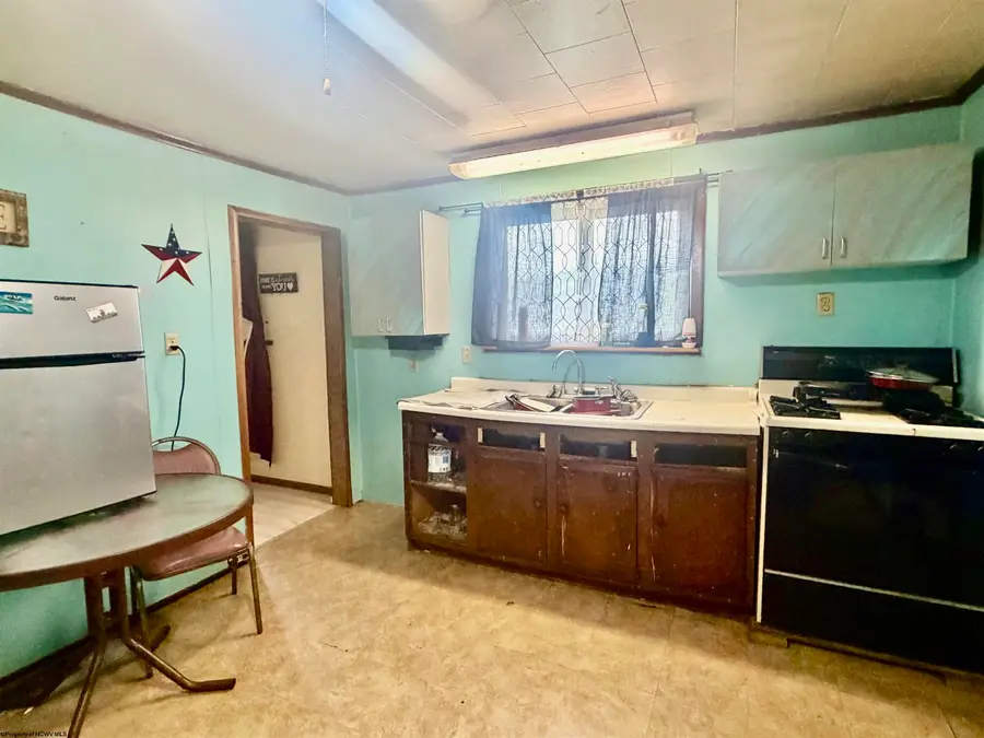 117 Manchin Street, Fairmont, WV 26554 - #3