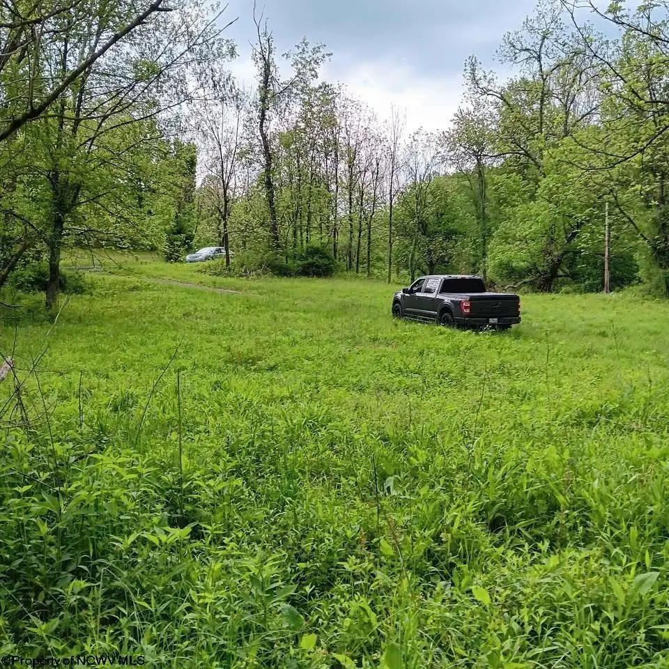 0 Meathouse Fork Road, New Milton, WV 26411 - #1