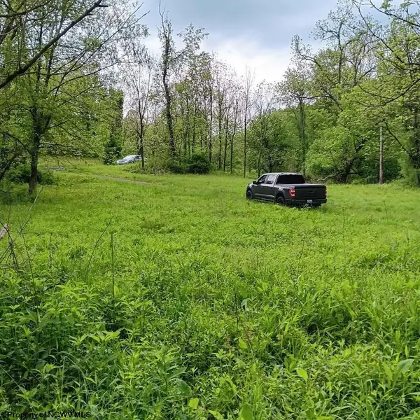 0 Meathouse Fork Road, New Milton, WV 26411