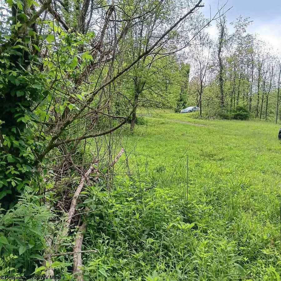 0 Meathouse Fork Road, New Milton, WV 26411 - #2