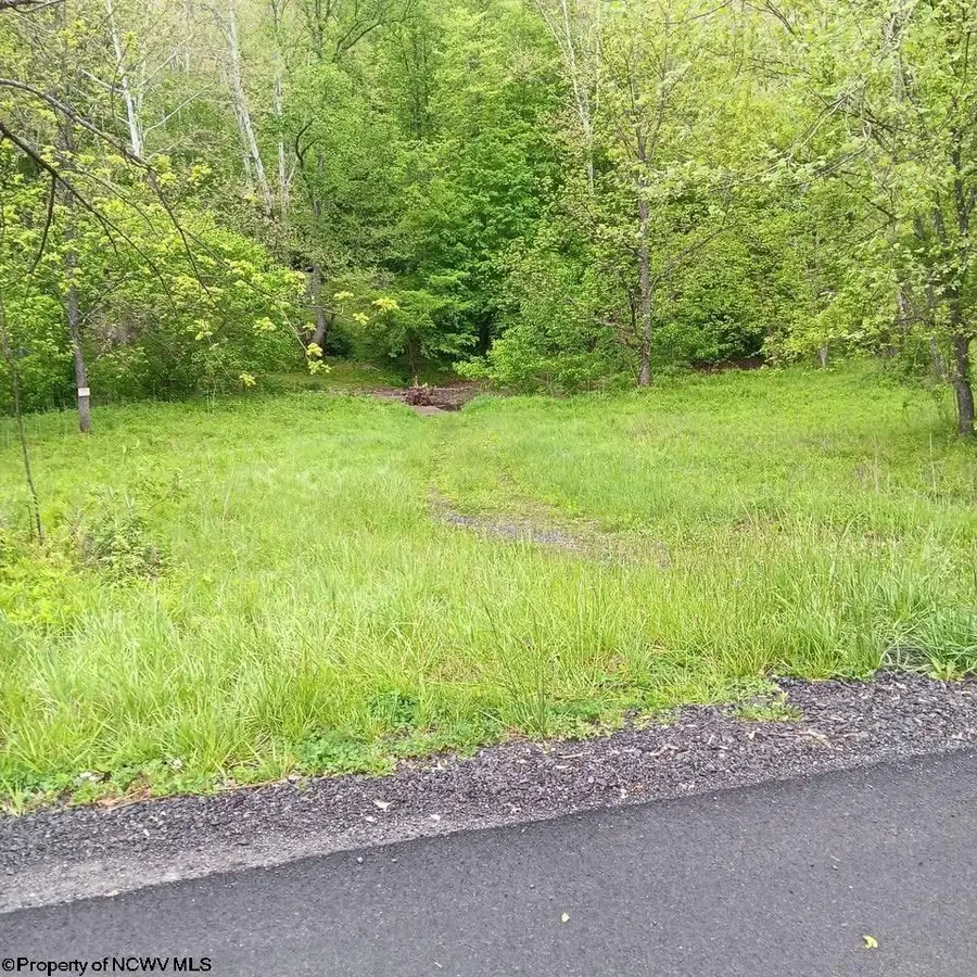 0 Meathouse Fork Road, New Milton, WV 26411 - #3