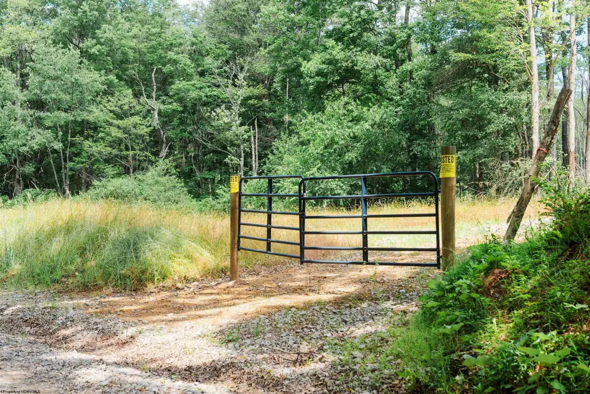 TBD Eagles Nest Road, Bruceton Mills, WV 26525 - #1