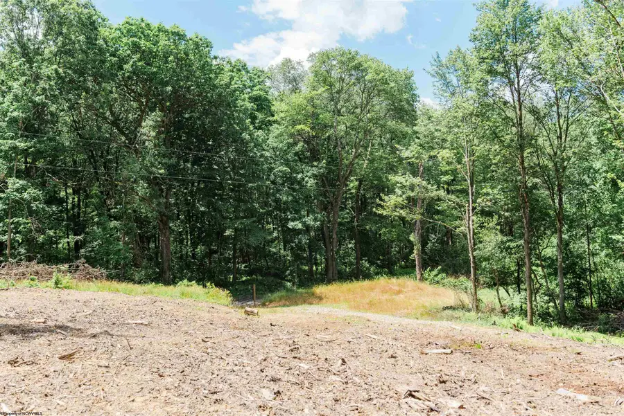 TBD Eagles Nest Road, Bruceton Mills, WV 26525 - #3