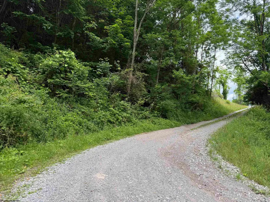 TBD Rocky Road, Harman, WV 26270 - #3