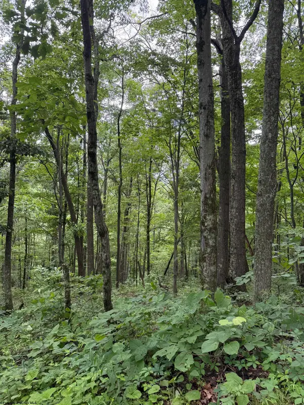 21 and 21.1 PYLES Fork, Mannington, WV 26582