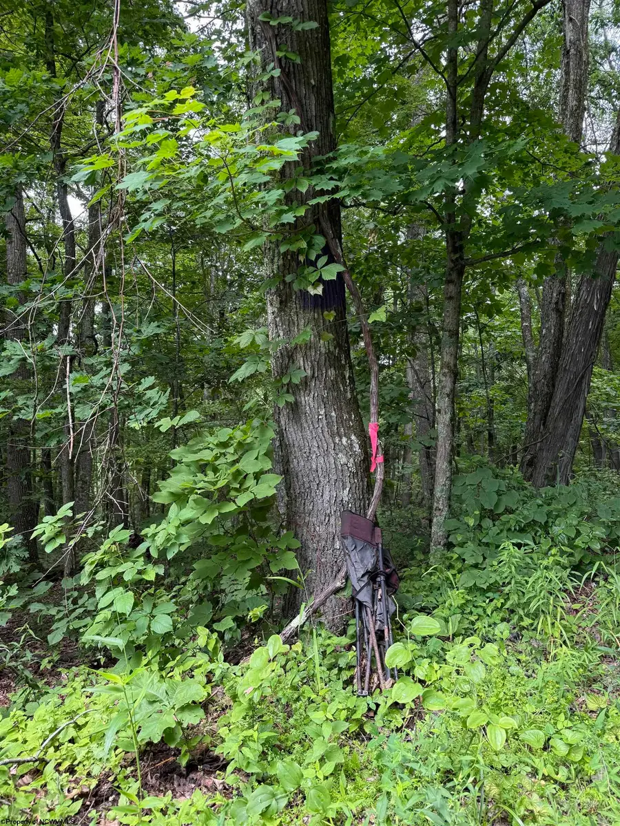 21 and 21.1 PYLES Fork, Mannington, WV 26582 - #2