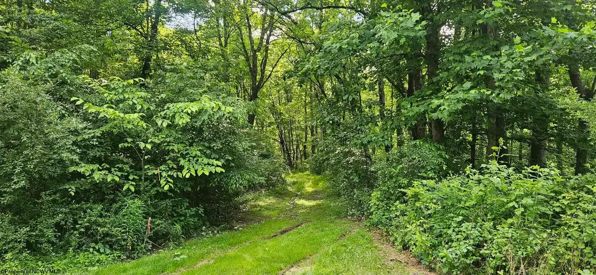TBD School Street, Farmington, WV 26571 - #1