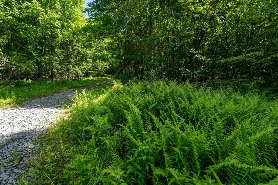 3091B Pleasantdale Road, Kingwood, WV 26537 - #2
