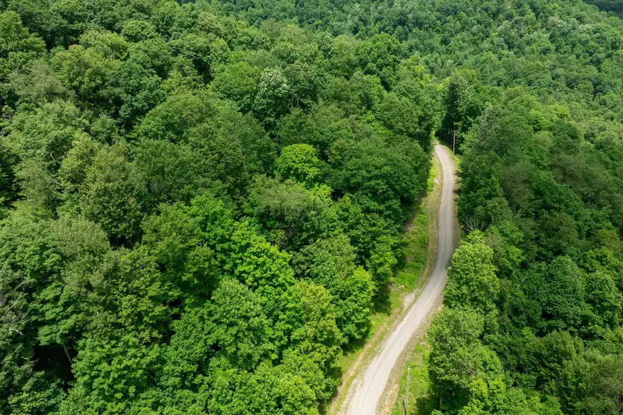 Lot 21 Trailwood Circle, Bruceton Mills, WV 26525 - #2