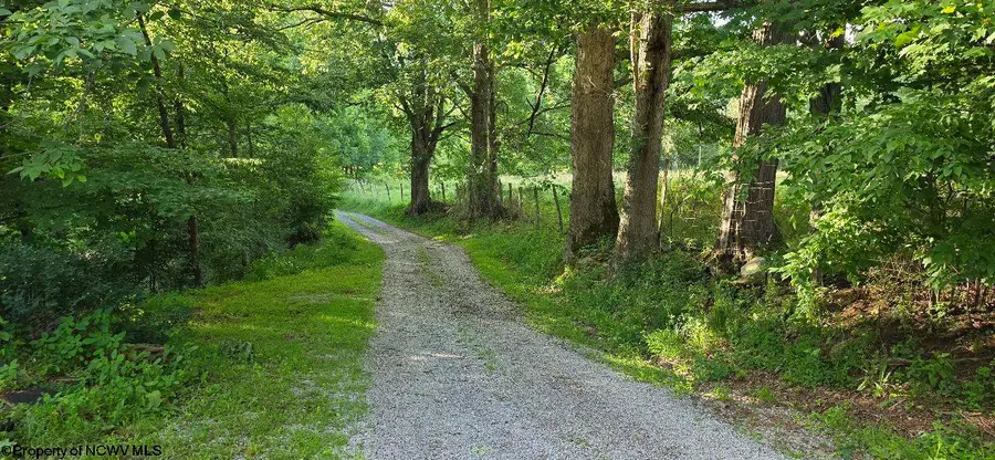 98 Wolford Ln Lane, Dryfork, WV 26263 - #2