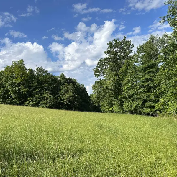 5400 Brandonville Pike, Terra Alta, WV 26764