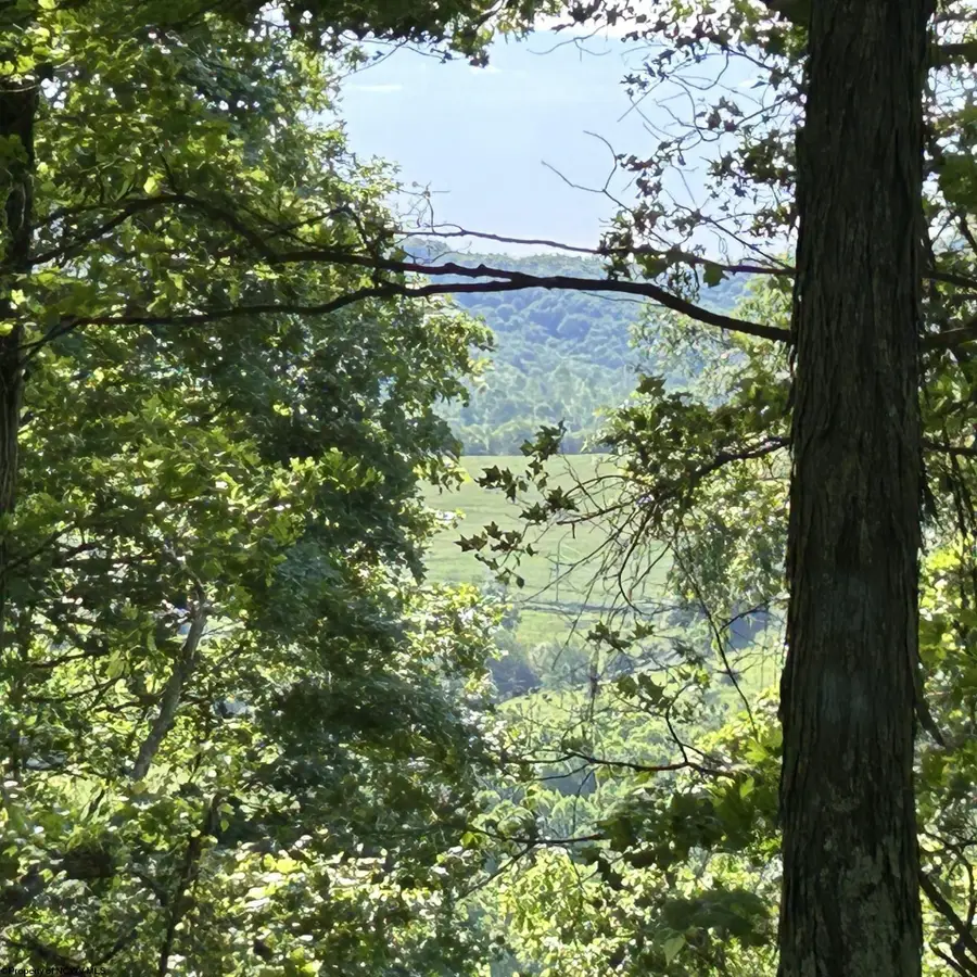 5400 Brandonville Pike, Terra Alta, WV 26764 - #3