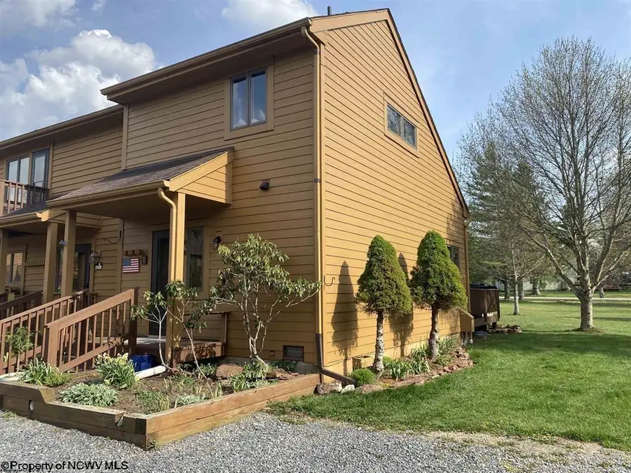 100 Deerfield Circle, Davis, WV 26260 - #3