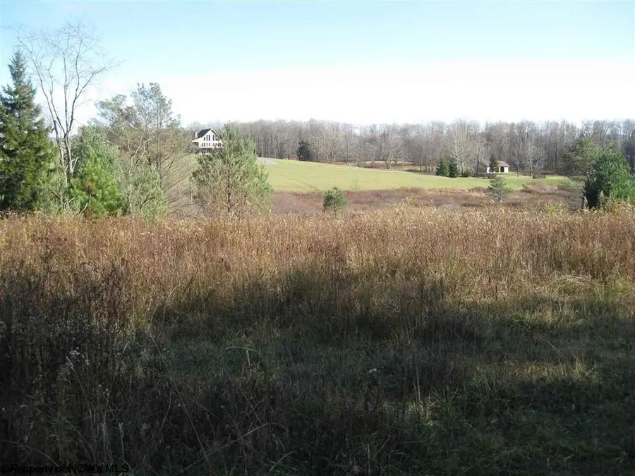 Lot 49 Mountain View Drive, Davis, WV 26260 - #2