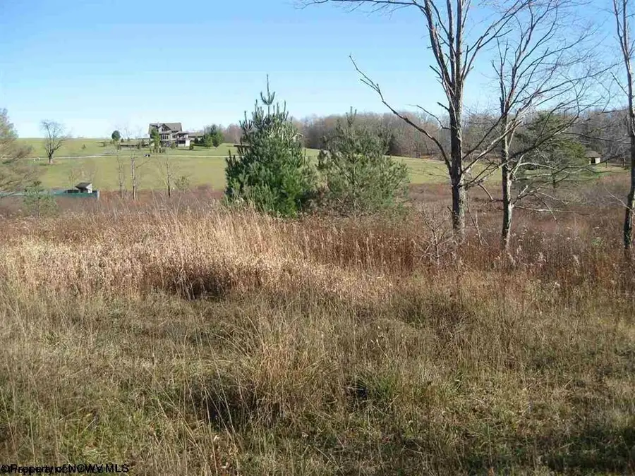 Lot 49 Mountain View Drive, Davis, WV 26260 - #3