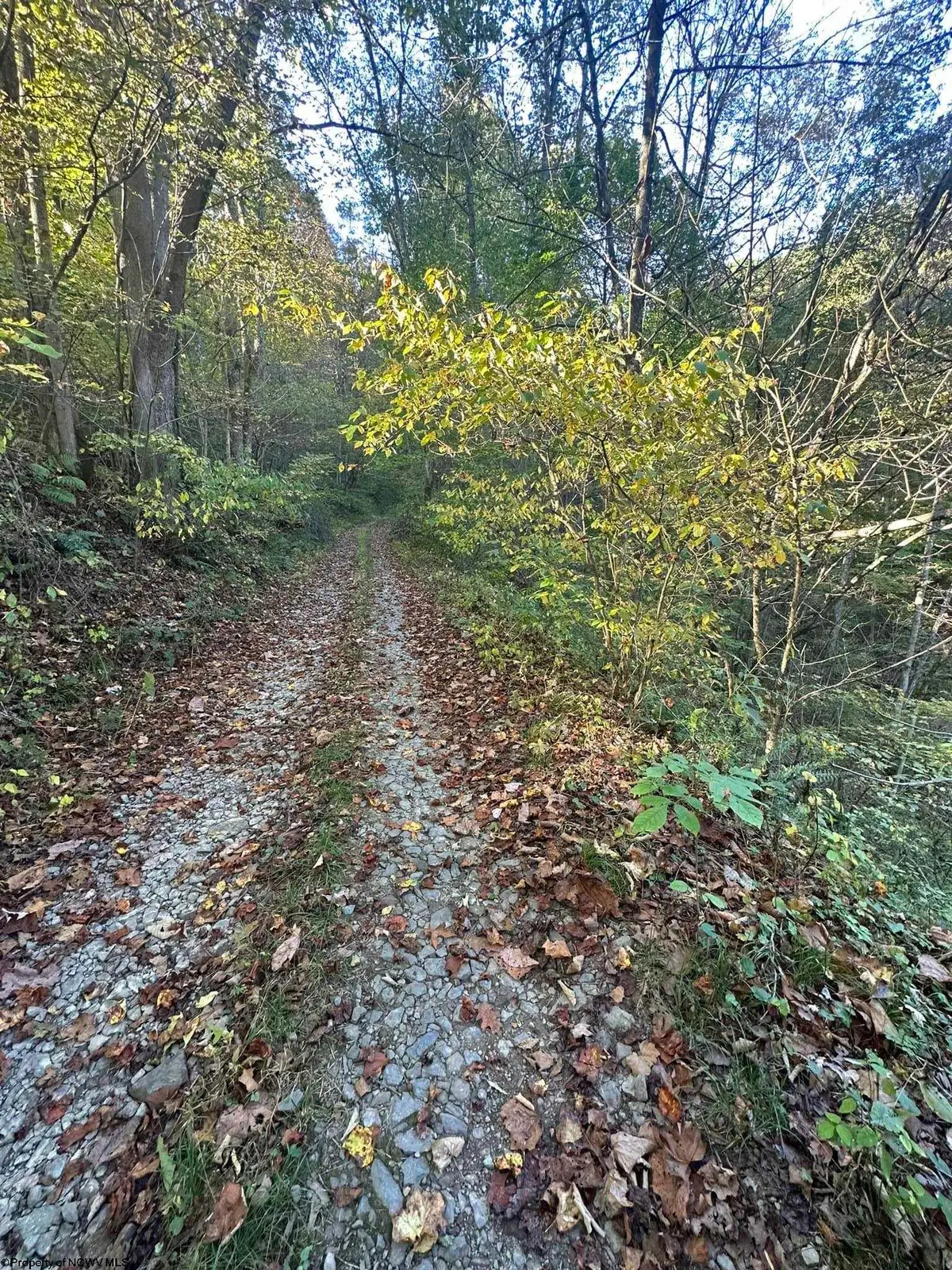 Lot 7 CANNON HILL Road, Rowlesburg, WV 26425 - #1