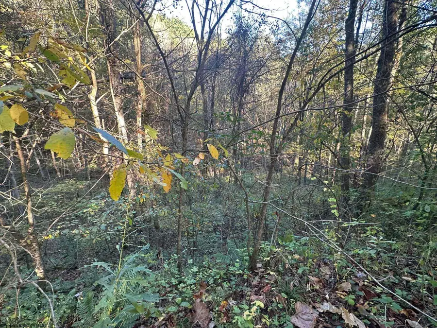 Lot 7 CANNON HILL Road, Rowlesburg, WV 26425 - #2