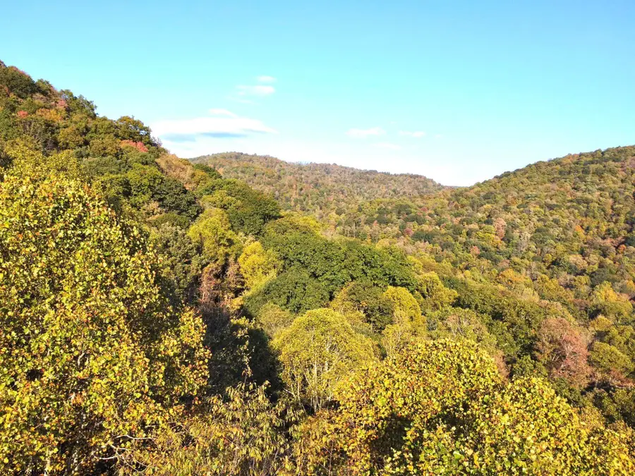 Lot 7 CANNON HILL Road, Rowlesburg, WV 26425 - #3
