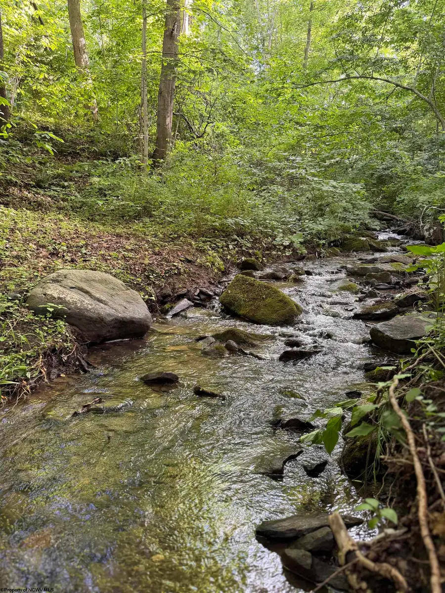 2527 Smithtown Road, Morgantown, WV 26508 - #2