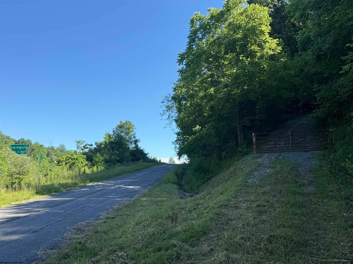 TBD Suds Run Road, Mount Clare, WV 26408 - #1