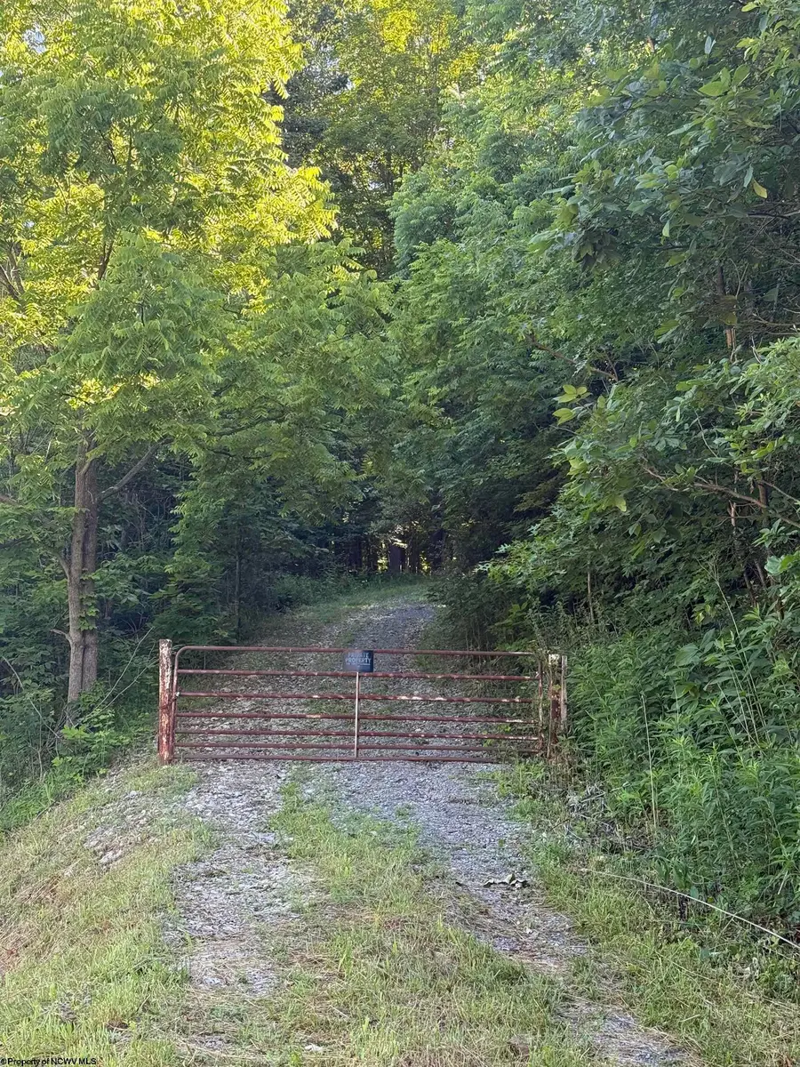 TBD Suds Run Road, Mount Clare, WV 26408 - #2