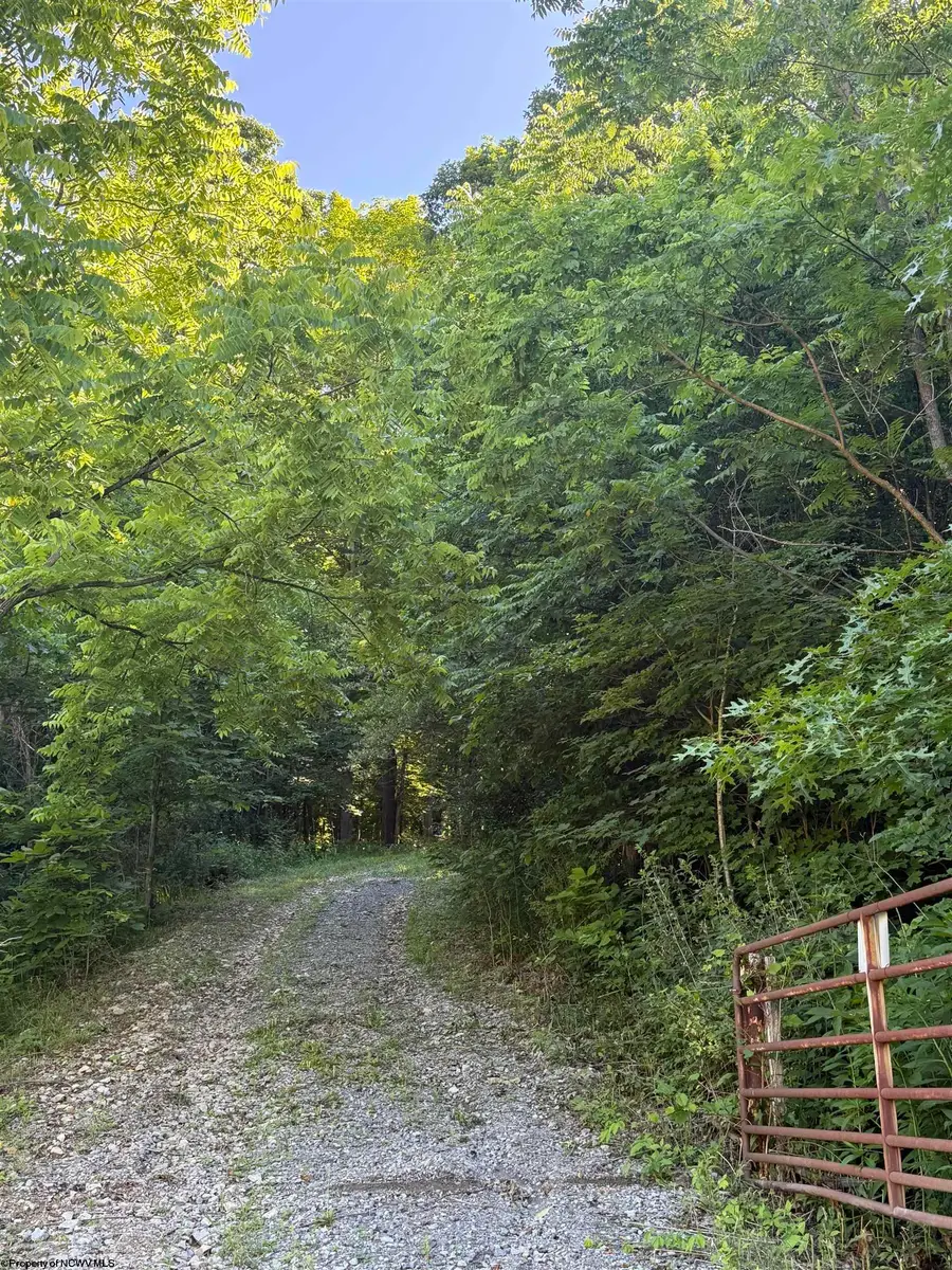 TBD Suds Run Road, Mount Clare, WV 26408 - #3
