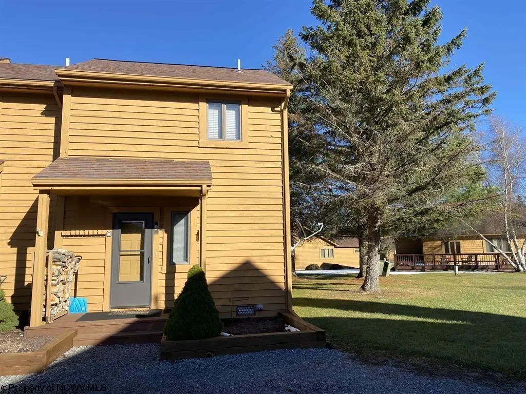 104 Deerfield Village, Davis, WV 26260 - #1