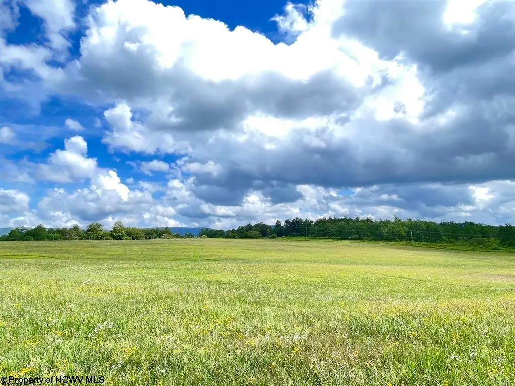 Lot B Cortland Road, Davis, WV 26260-0000 - #1