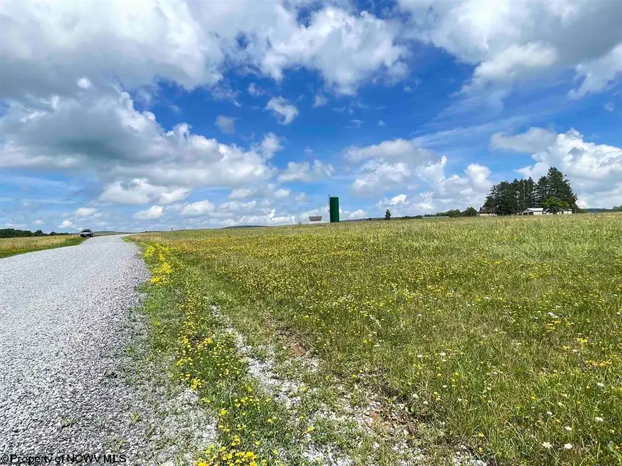 Lot B Cortland Road, Davis, WV 26260-0000 - #2