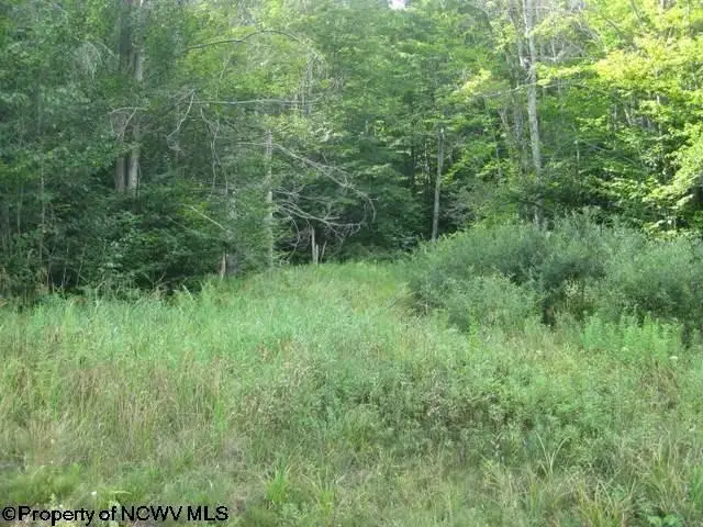 Lot 3 Northlake Drive, Davis, WV 26260-0000 - #1