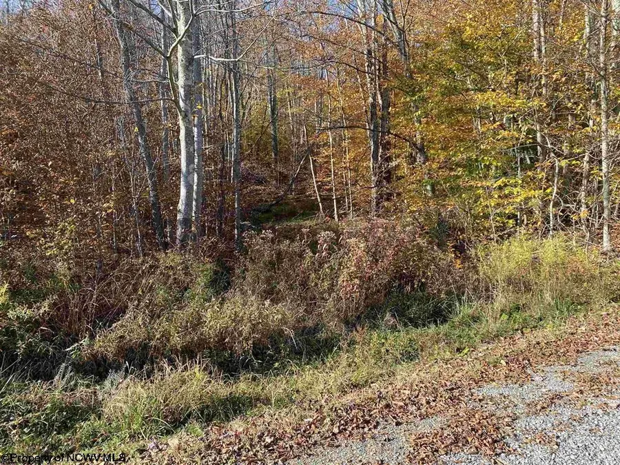 Lot 3 Northlake Drive, Davis, WV 26260-0000 - #2