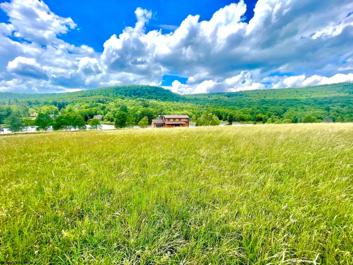 lot 35 Mallow Lake Drive, Davis, WV 26260 - #1