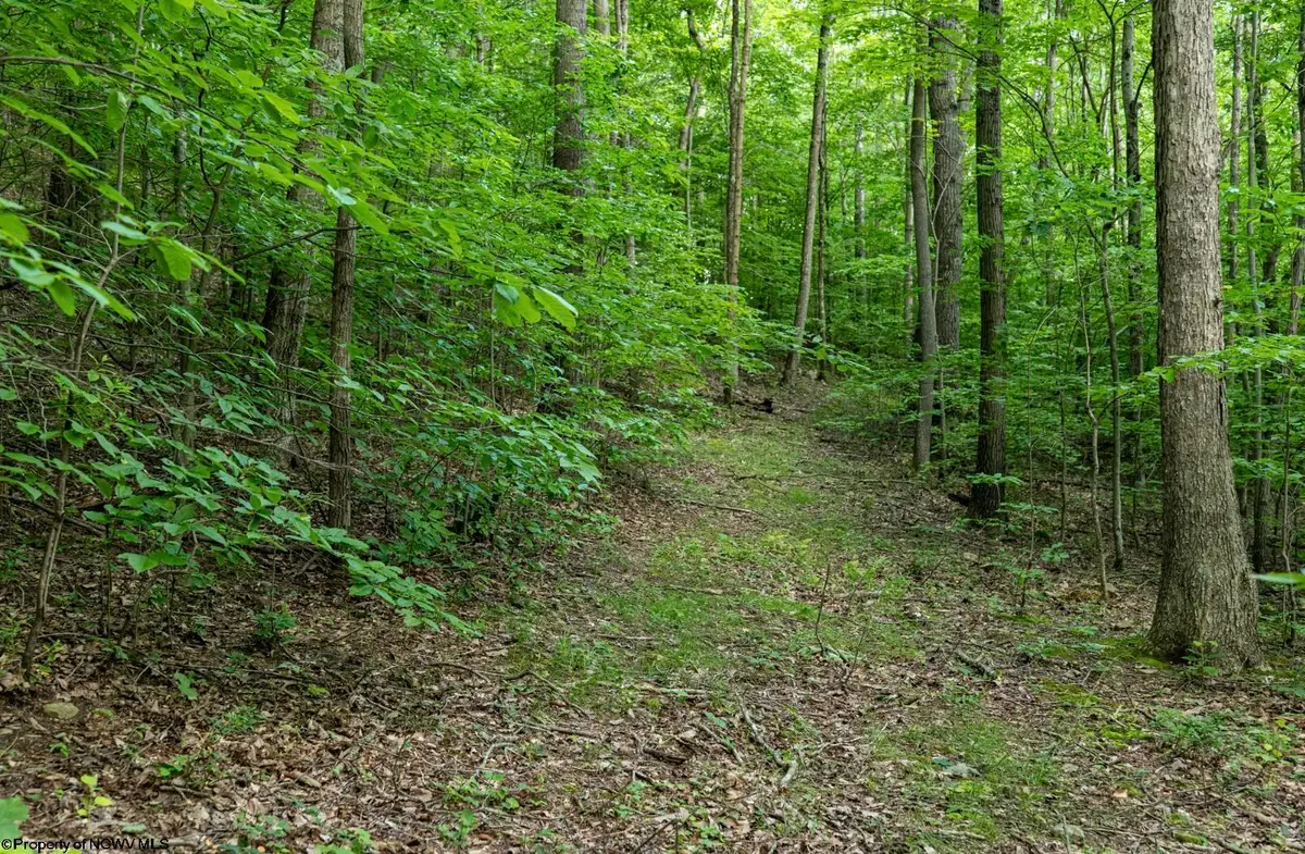Lot 1 Sycamore Fork Road, Wallace, WV 26448 - #1