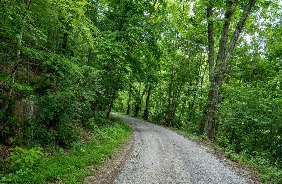 Lot 1 Sycamore Fork Road, Wallace, WV 26448 - #2
