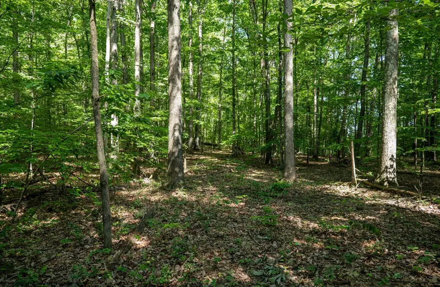 Lot 1 Sycamore Fork Road, Wallace, WV 26448 - #3
