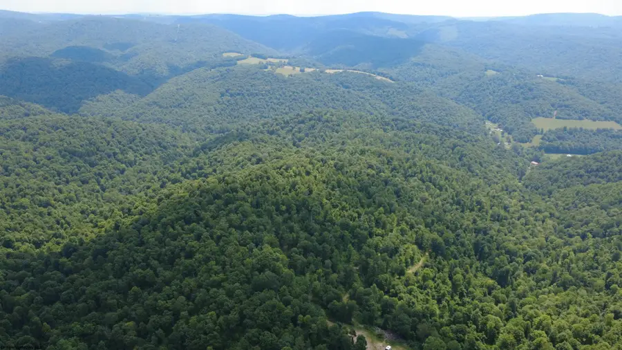 TBD SALTLICK Road, Terra Alta, WV 26764 - #2