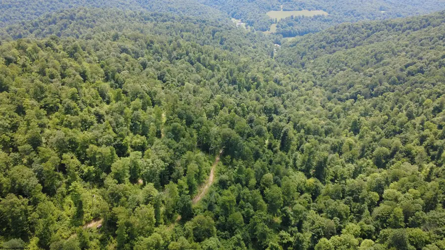 TBD SALTLICK Road, Terra Alta, WV 26764 - #3
