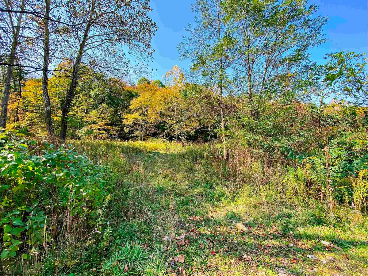 TBD Blizzard Gate Road, Harman, WV 26270 - #1