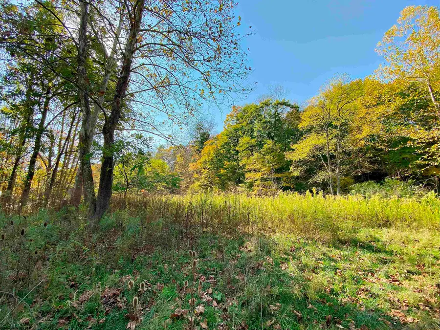 TBD Blizzard Gate Road, Harman, WV 26270 - #2