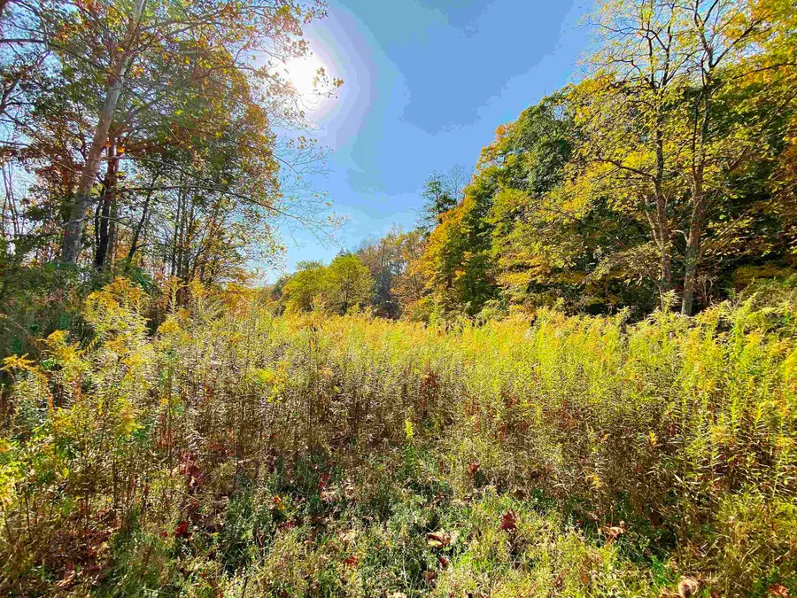 TBD Blizzard Gate Road, Harman, WV 26270 - #3