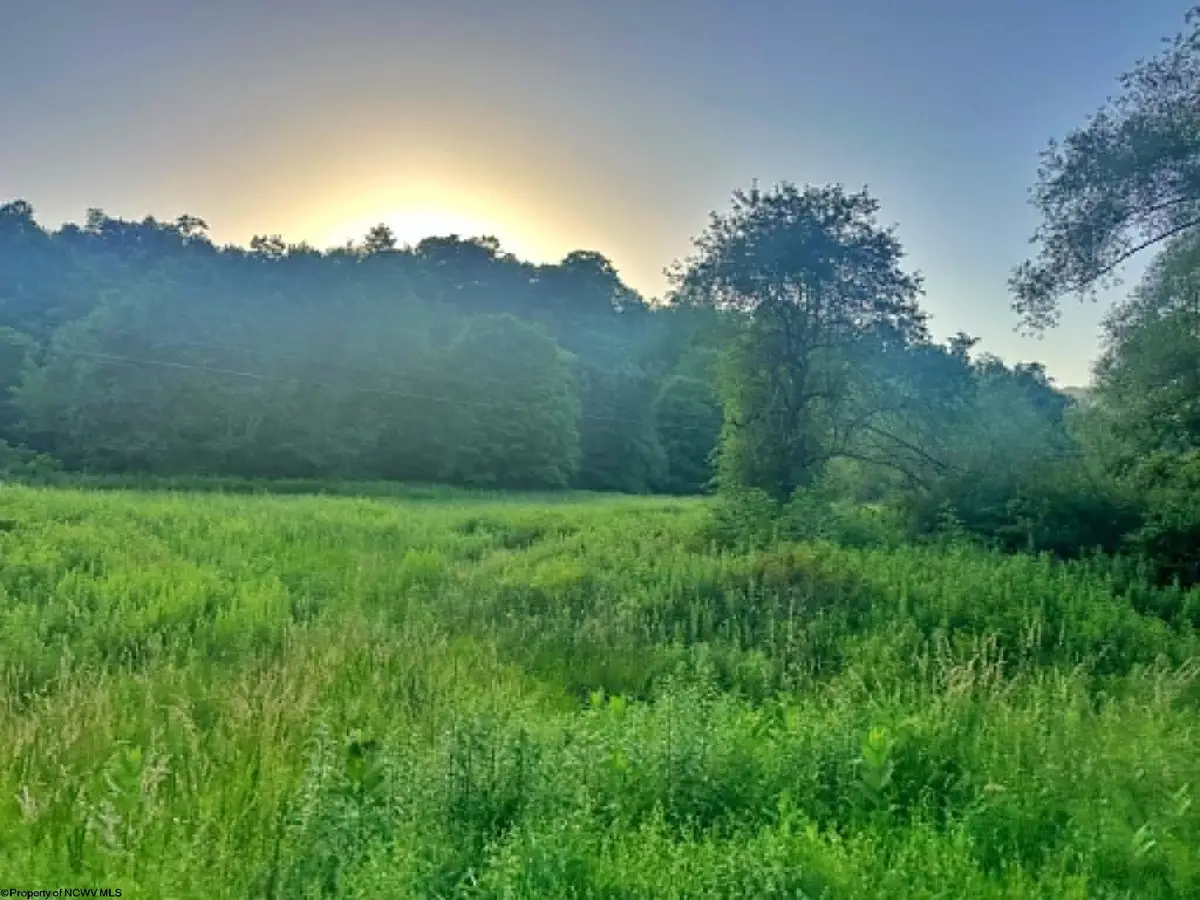 0 Saltlick Road, Terra Alta, WV 26764 - #1