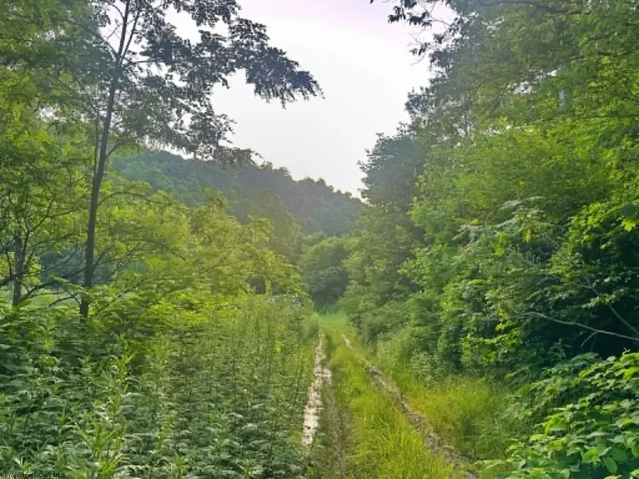 0 Saltlick Road, Terra Alta, WV 26764 - #3