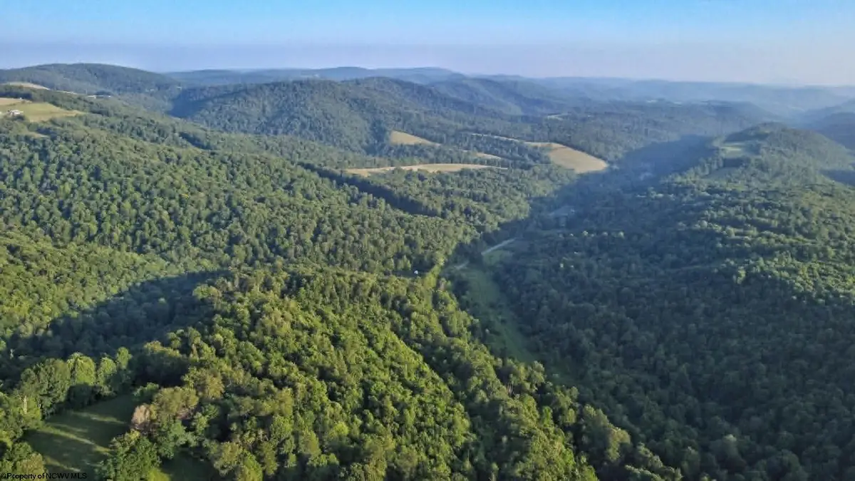 00 Saltlick Road, Terra Alta, WV 26764 - #1
