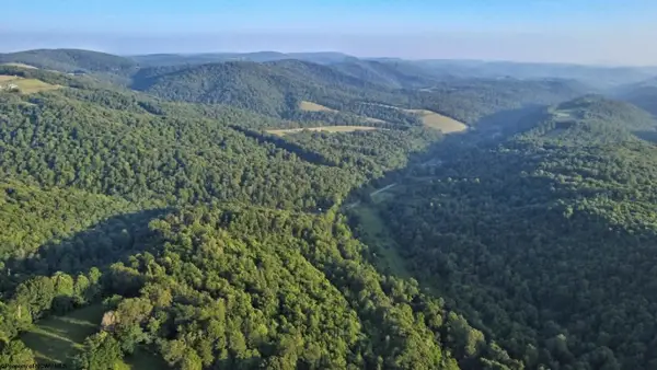 00 Saltlick Road, Terra Alta, WV 26764