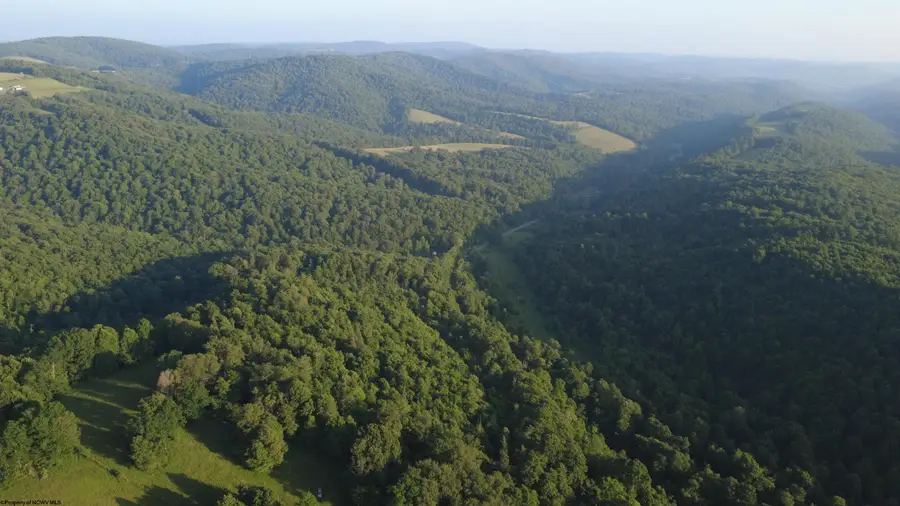 00 Saltlick Road, Terra Alta, WV 26764 - #3