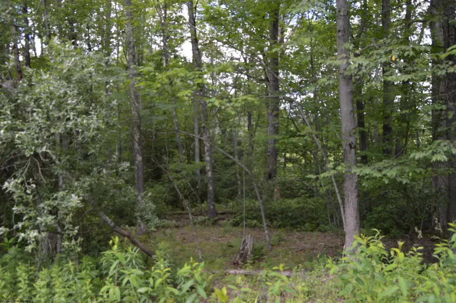 Lot 192 Azalea Drive, Terra Alta, WV 26764 - #3