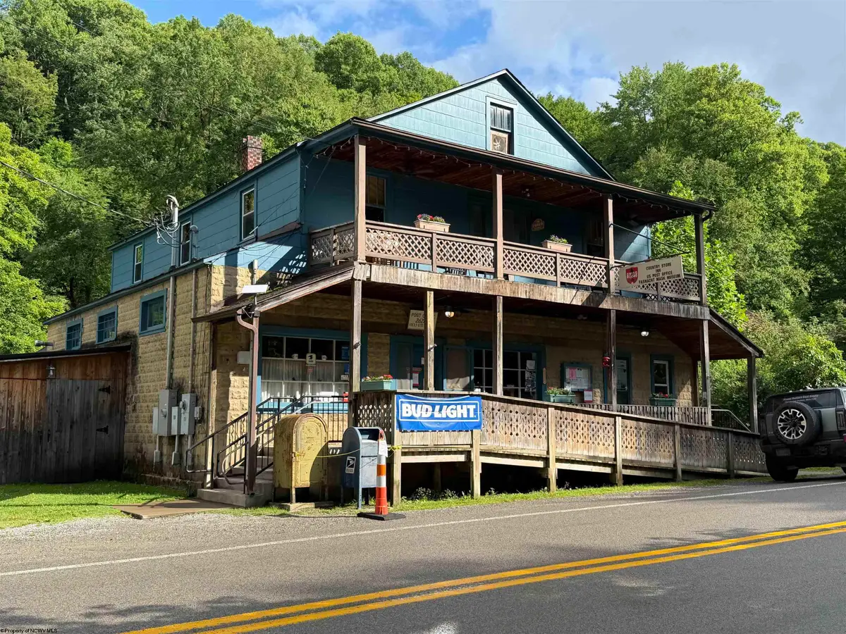 4916 Pickens Road, Helvetia, WV 26224 - #1