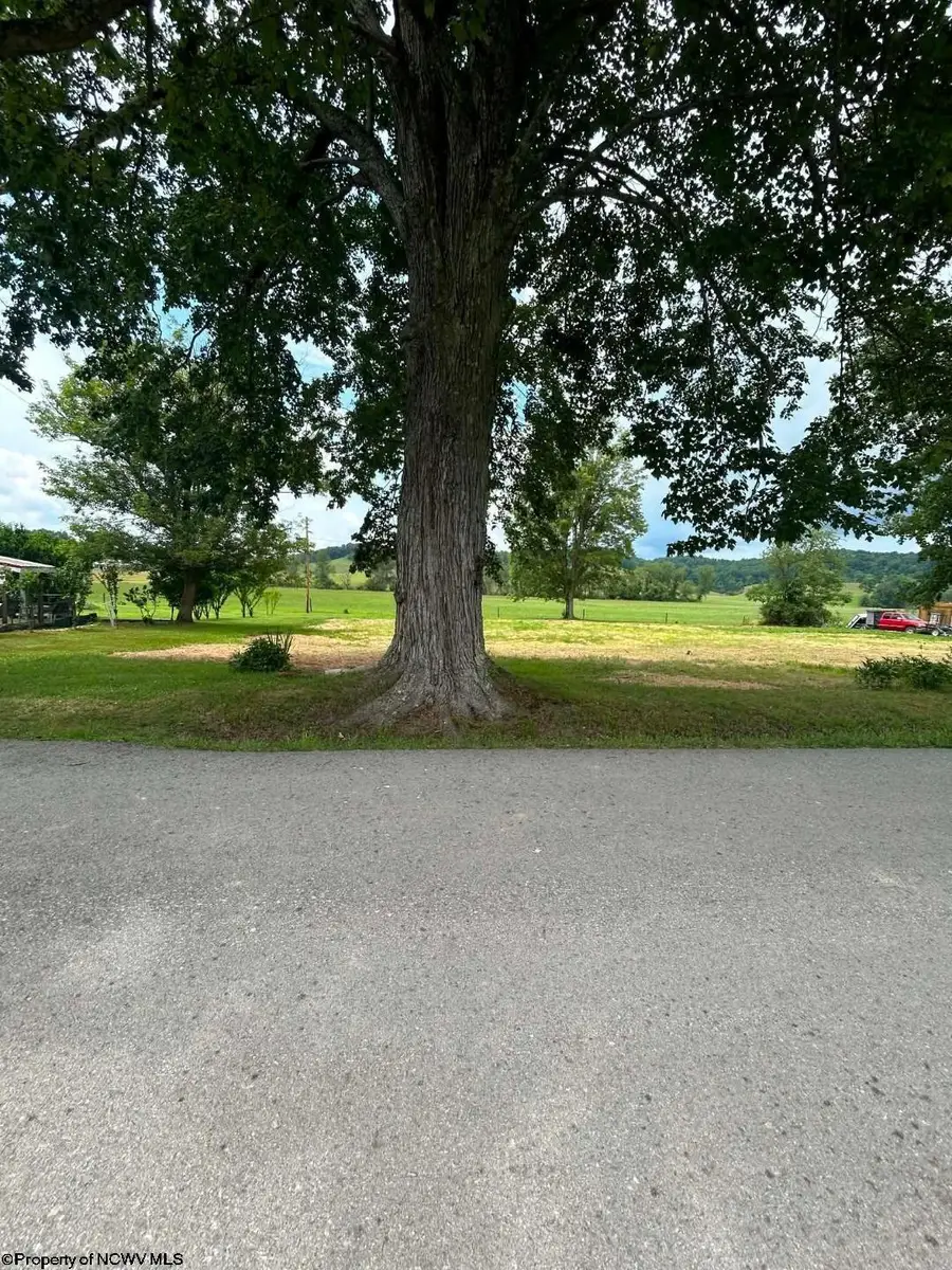 123 Freemans Road, French Creek, WV 26218 - #3